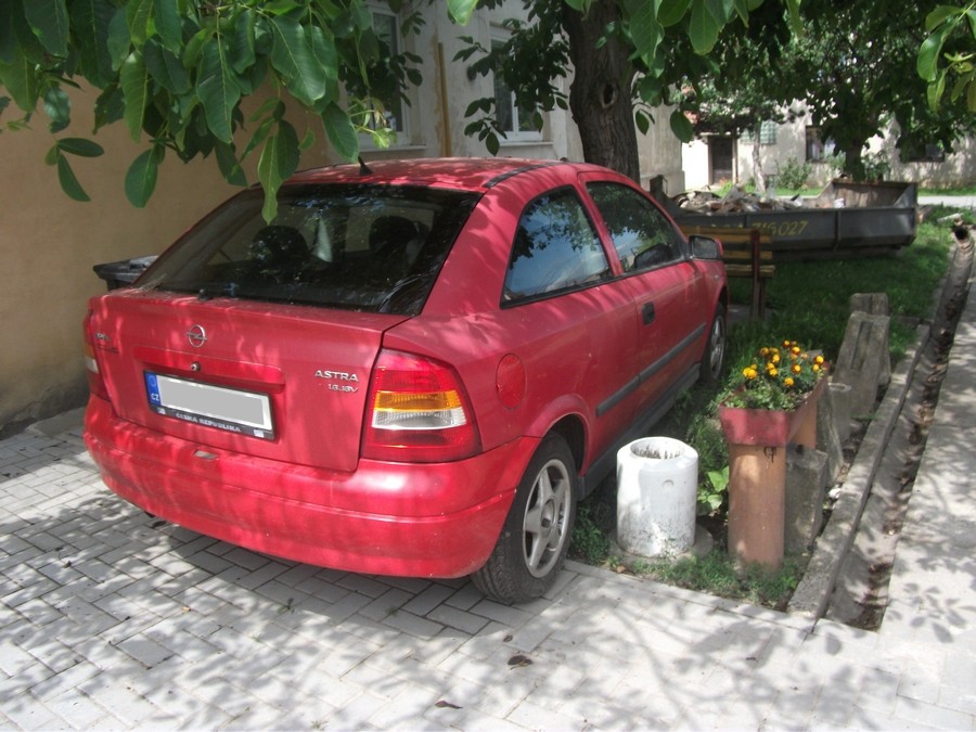 Obrázek
