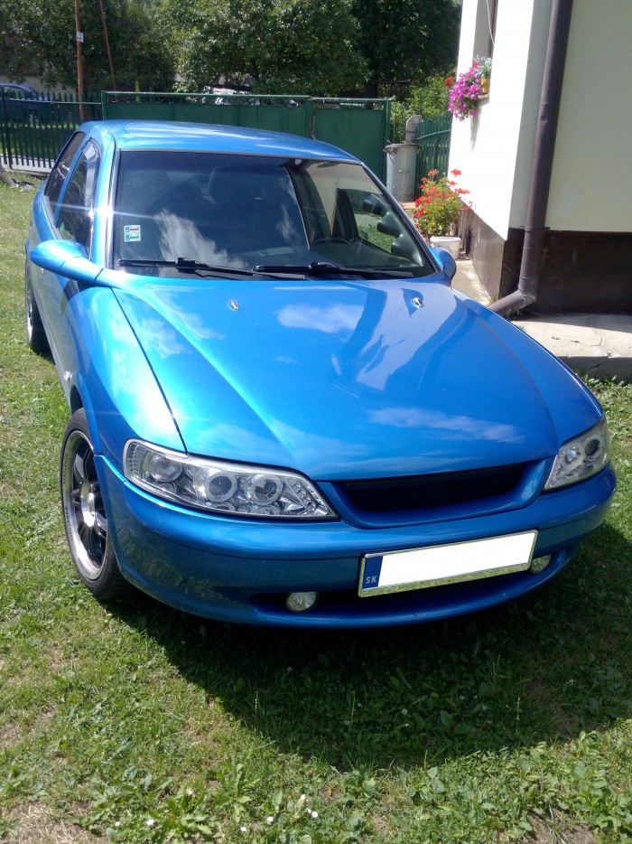 Obrázek